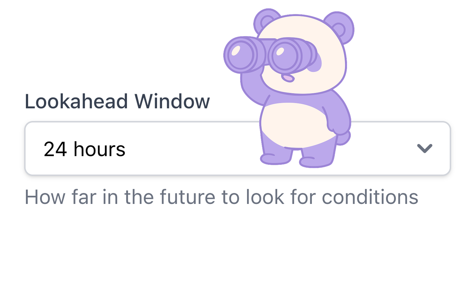 Custom lookahead feature
